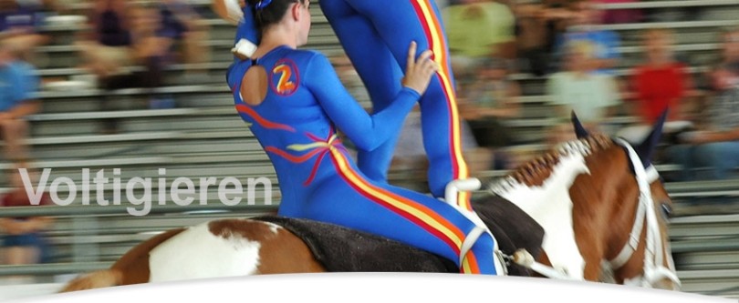 voltigieren